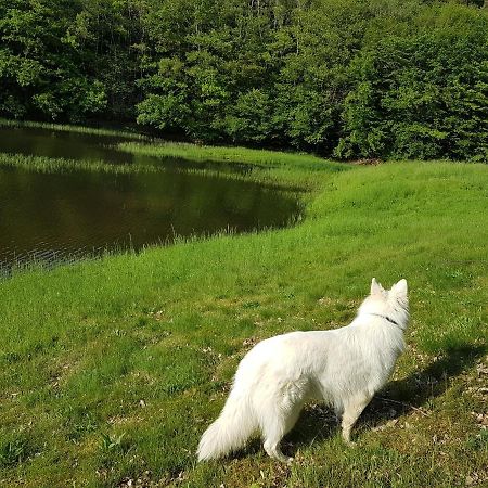 Gite Le Domaine D Orphee Marmagne  Buitenkant foto