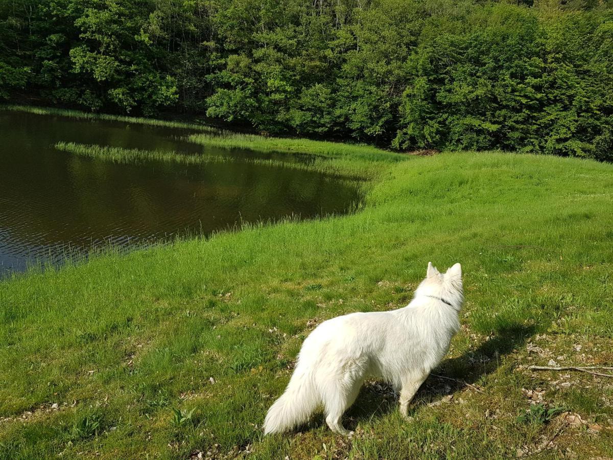 Gite Le Domaine D Orphee Marmagne  Buitenkant foto