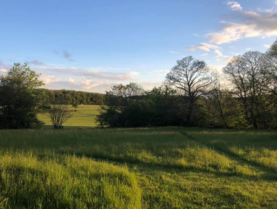 Gite Le Domaine D Orphee Marmagne  Buitenkant foto